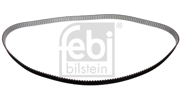 Timing Belt